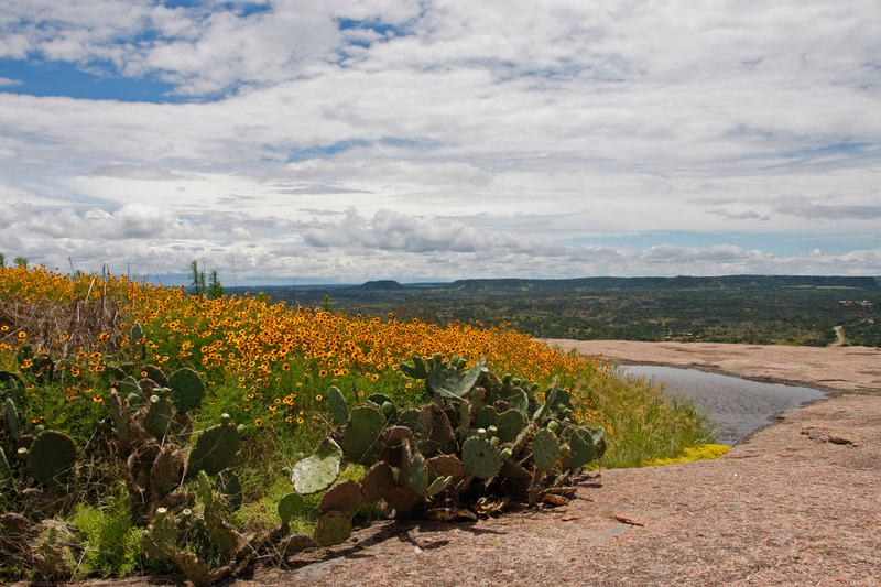Illustration for article titled Enchanted Rock